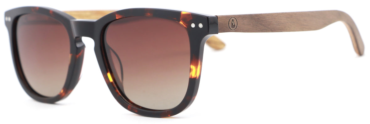 Polarised CHICLANA Sunglasses, Acetat
